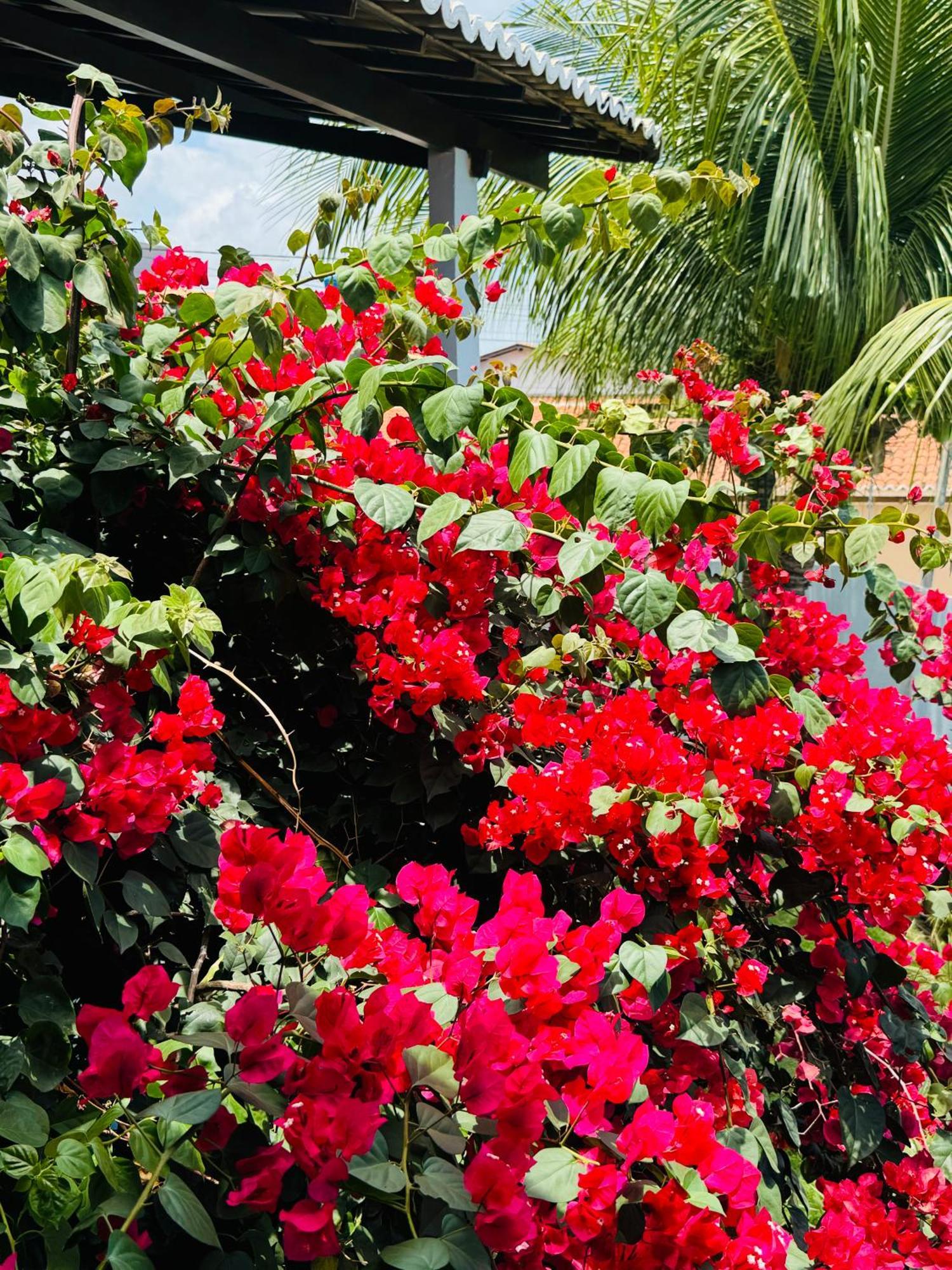 Villa Casa Dos Girassois Praia de Pipa Exterior foto